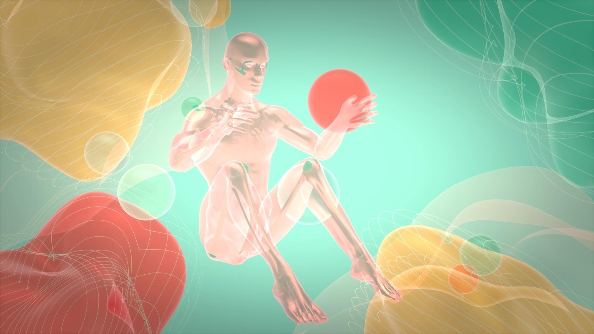 Course cover “Introduction to anatomy. Selected topics”