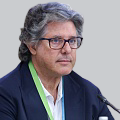 Course author photo: Витторио Калабрезе